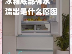 冰箱堵水排不出去了，怎么办（快速解决冰箱排水问题的方法和技巧）