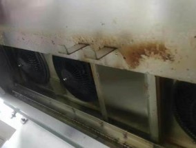 洛阳大型油烟机清洗省钱的绝佳方法（轻松解决油烟机清洗问题）
