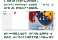 iPad分屏（掌握这些方法）