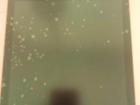 手机贴膜气泡问题解决方法（彻底告别手机贴膜气泡）