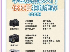 十大受欢迎相机排行榜（探寻最受欢迎相机）