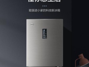 迎接新时代，推荐最新款冰箱（从外观到内部细节）