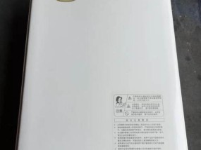 解决林内热水器自动熄火故障的有效方法（教你如何应对林内热水器自动熄火问题）