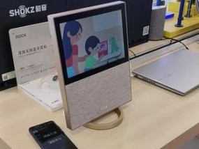 小度智能屏X10体验报告（家庭智能控制神器的功能全解析）