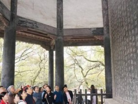 四川农村油烟机的清洗方法（轻松清除农村油烟机的油垢）