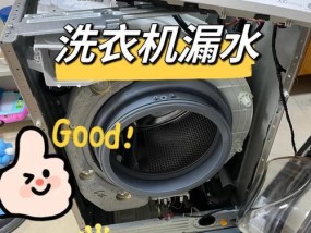 洗衣机边洗边漏水的故障及修理方法（如何修理洗衣机漏水问题）