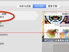 苹果笔记本智能触摸功能如何设置？设置方法是什么？