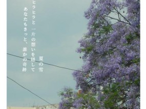 户外使用富士滤镜如何用手机拍照？有哪些技巧？