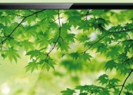 电视画面变绿色是什么原因？如何快速解决？