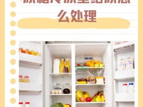 当冰箱里有冰如何处理（冰箱冷藏库存管理指南）