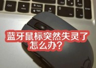 无线鼠标USB接收器丢失后的解决方法（如何避免丢失无线鼠标USB接收器）