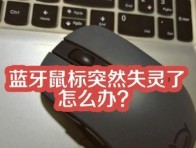 无线鼠标USB接收器丢失后的解决方法（如何避免丢失无线鼠标USB接收器）