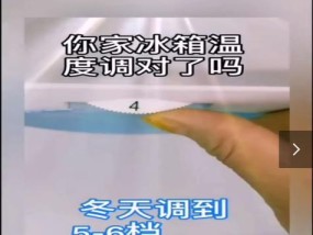 冰箱报警的原因及解决方法（保持食物新鲜与安全）