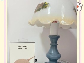 苹果防断头充电器的正确使用方法是什么？