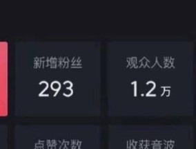 如何学会隐藏大哥的音浪教学（从零基础到掌握隐藏大哥的音浪秘技）
