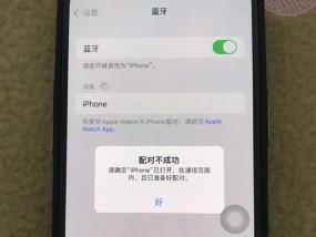 iPhone手机验证失败处理方法（解决验证失败问题）