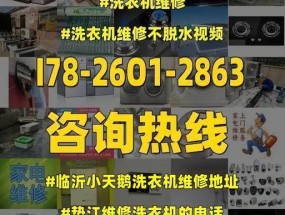 天鹅洗衣机开机故障解决方法（解锁您的洗衣新姿势-天鹅洗衣机故障一网打尽）
