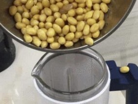 利用破壁机处理豆浆豆渣的创新方法（解决环境问题）