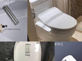 松下智能马桶盖不喷水的维修办法（解决马桶盖不喷水的常见问题及维修技巧）