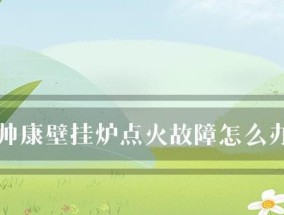 如何解决帅康壁挂炉加热慢的问题（有效提升帅康壁挂炉加热速度的方法）