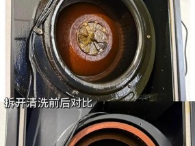 如何正确清洗侧边油烟机（掌握清洗技巧）