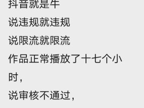 抖音作品为何被审核（探究抖音作品被审核的原因和解决方法）