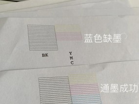 如何清洗HPDeskJet2600喷墨头（轻松解决打印问题）