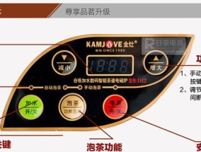 探究雅思乐电磁炉故障及解决方法（解密电磁炉故障原因）