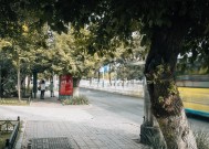 相机镜头小白兔r10的性能如何？它适合哪些拍摄场景？