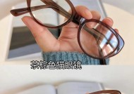 猫咪清洁眼镜的正确方法是什么？