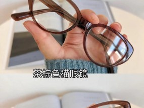 猫咪清洁眼镜的正确方法是什么？