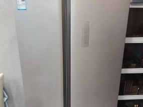冰箱脱漆的处理方法（让你的冰箱恢复原来的光彩）
