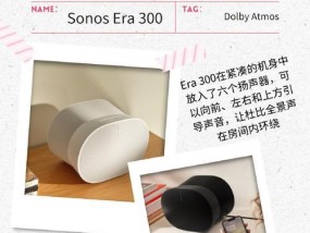 迷你单体音箱拆解视频教程？