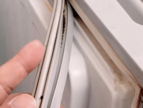 冰箱封条老化怎么办（保持冷链食品安全的关键策略）