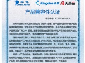 金蝶服务器中文命名设置步骤是什么？设置后如何使用？
