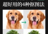 教你轻松掌握ps抠图技巧（以ps抠图步骤详解）