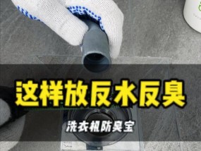 洗衣机放水有臭味的原因及解决方法（深入探究洗衣机放水出现臭味的原因）