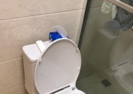 美标马桶堵塞的原因是什么？如何快速解决马桶堵塞问题？