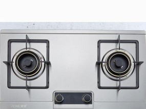 天然气灶品牌大揭秘（探索市场上热门的天然气灶品牌）