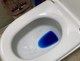 消除马桶臭味的有效方法（让你的厕所清新如初）