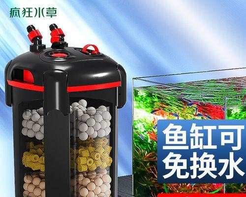 鱼缸净水器不工作了怎么办（解决鱼缸净水器故障的实用方法）  第1张