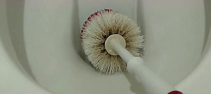 马桶异味怎么消除（卫生间清新的小妙招）  第3张