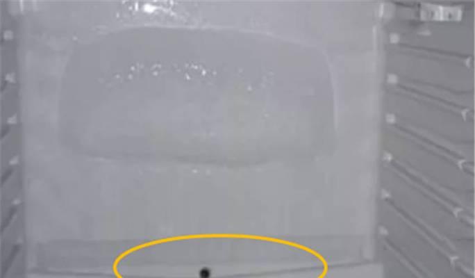 冰箱污垢处理的简便方法（轻松解决冰箱污垢问题的有效技巧）  第2张