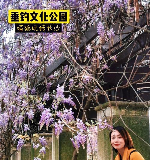 手机拍照长廊美景设置技巧？最佳参数推荐？  第1张