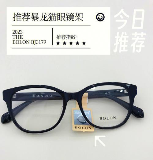 猫咪清洁眼镜的正确方法是什么？  第3张