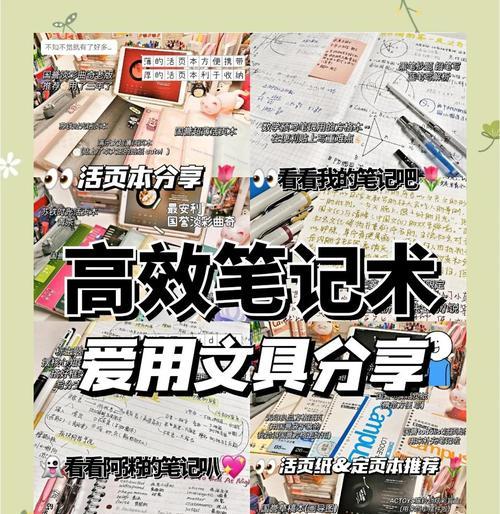 笔记本电脑上课携带的最佳方式是什么? 第3张 笔记本电脑上课携带的最佳方式是什么? 第3张