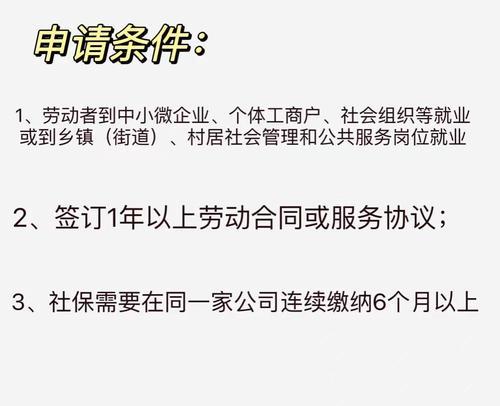 山东笔记本电脑补贴如何申请?申请过程中常见问题是什么? 第1张 山东笔记本电脑补贴如何申请?申请过程中常见问题是什么? 第1张